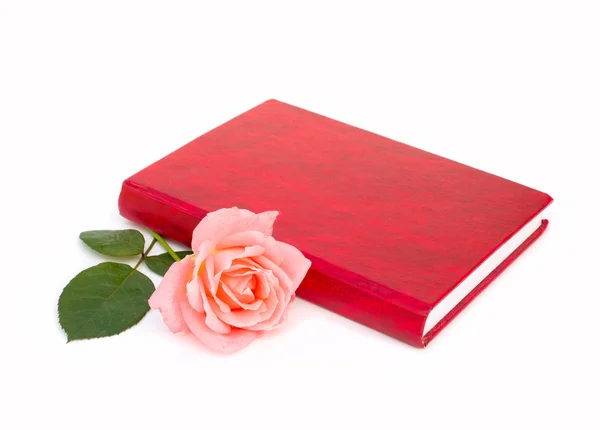Książki i róża — Zdjęcie stockowe