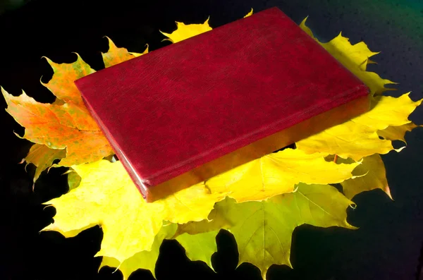 Book lying on autumn maple leaves — Stock Photo, Image