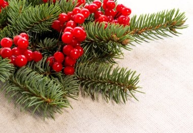 Kartopu çilek ve çam dalları