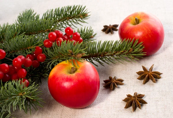 赤いリンゴ、スターアニス、小ぎれいなな枝 — ストック写真