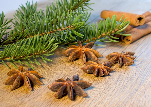 Star anise and spruce branches — Stock Photo, Image