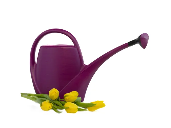 Watering can and bouquet of yellow tulips — Stock Photo, Image