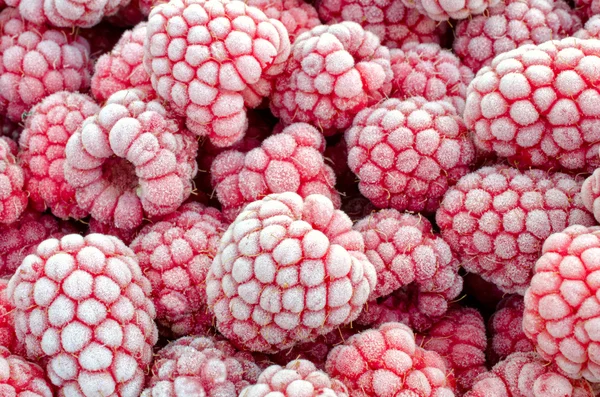 Tiefgefrorene Himbeeren — Stockfoto