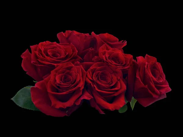 Bukett av röda rosor isolerad på en svart bakgrund — Stockfoto