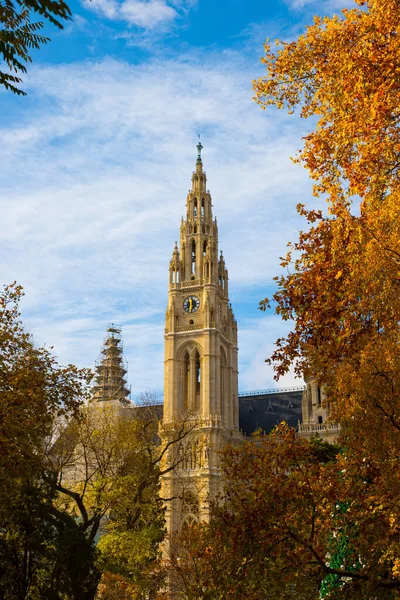 Colorful scene of Gothic Vienna City Hall ( Wiener Rathaus ) in autumn, Austria