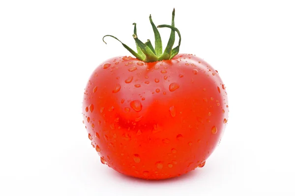 Tomaten Rechtenvrije Stockfoto's