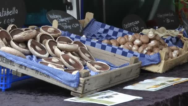 オランダの市場でのキノコ — ストック動画