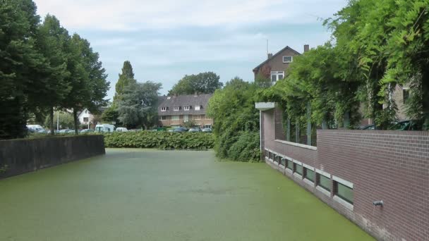 荷兰的运河 — 图库视频影像