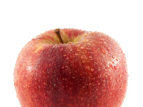 Isolerade färskt rött äpple med vatten droppar. — Stockfoto