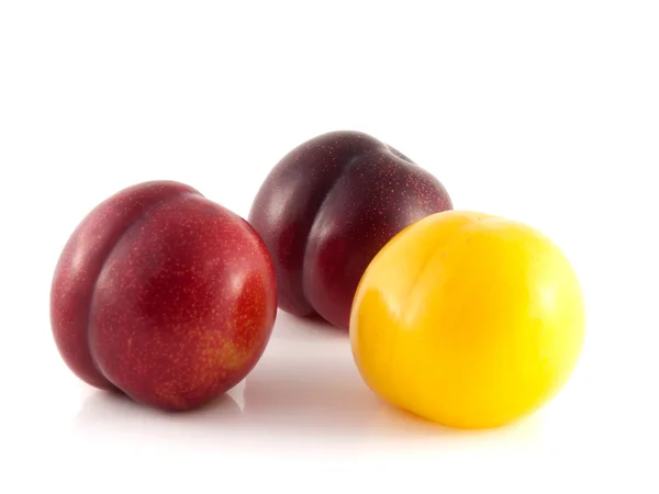 Ameixas maduras vermelhas e amarelas isoladas (branco ) — Fotografia de Stock