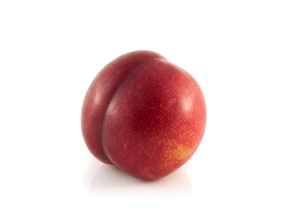 Prune mûre rouge isolée sur fond blanc — Photo