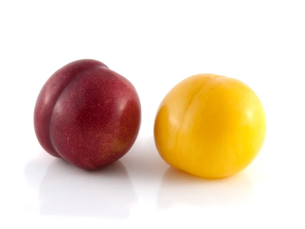 Isolated red and yellow ripe plums (white) — Stock Photo, Image