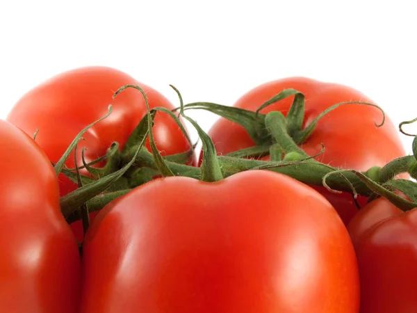 Tomates vermelhos frescos em ramo. Isolado em branco . — Fotografia de Stock