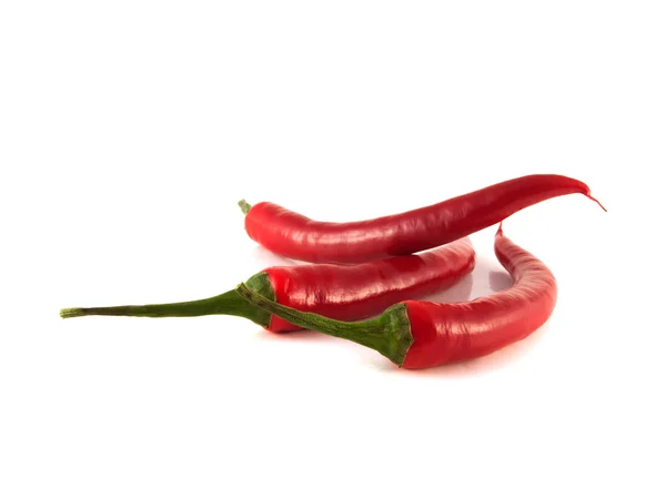 Rote Chilischoten auf weißem Hintergrund. — Stockfoto