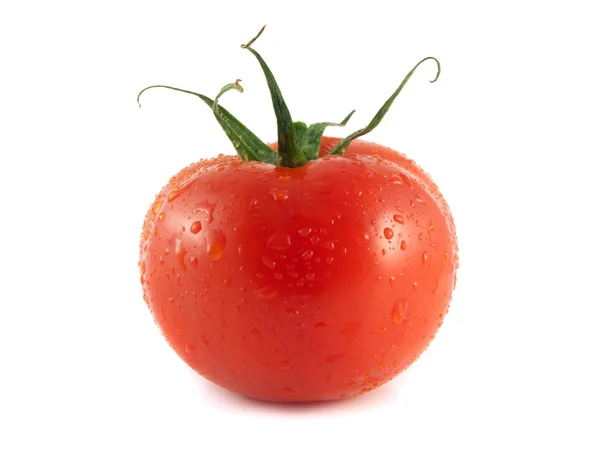 Isolierte rote reife Tomate auf weißem Hintergrund. — Stockfoto