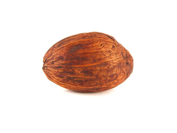 Isolated nutmeg on a white background. Nut. — Stock Photo, Image
