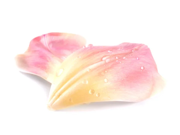 Geïsoleerde roze tulp bloemblaadjes op witte achtergrond. — Stockfoto