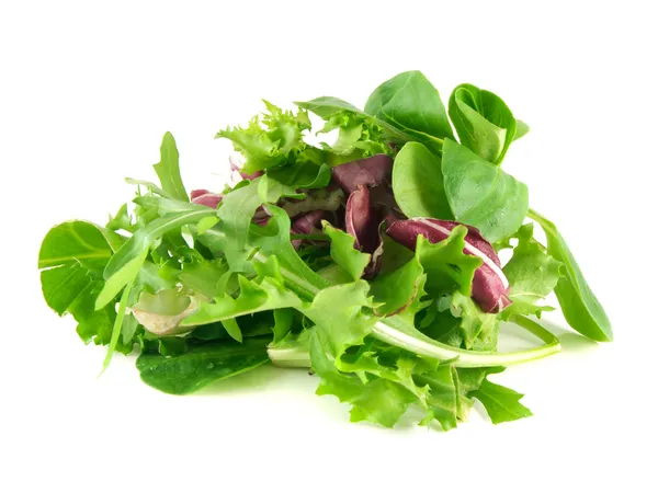 Salat Rucola, Frisee, Radicchio und Feldsalat — Stockfoto