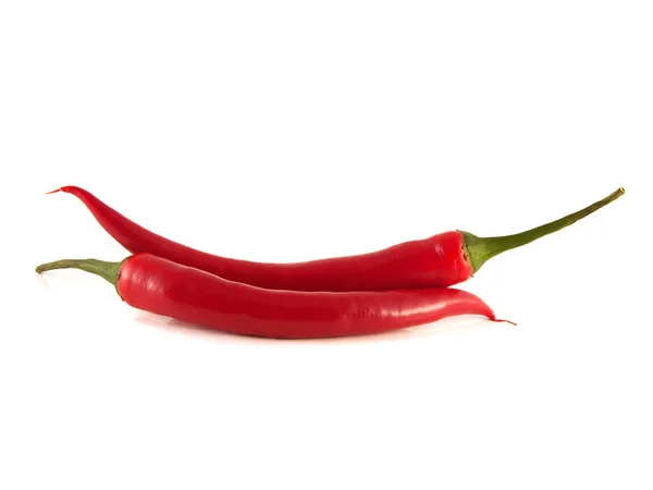 Fehér háttér piros chili-csípős paprika. — Stock Fotó