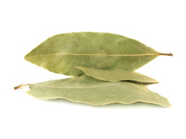 Körfez yaprakları beyaz arkaplanda izole