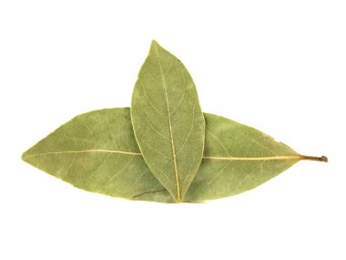 Körfez yaprakları beyaz arkaplanda izole