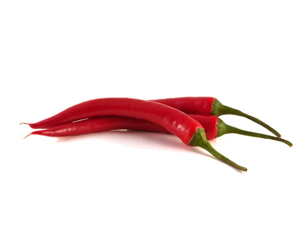 Fehér háttér piros chili-csípős paprika. — Stock Fotó