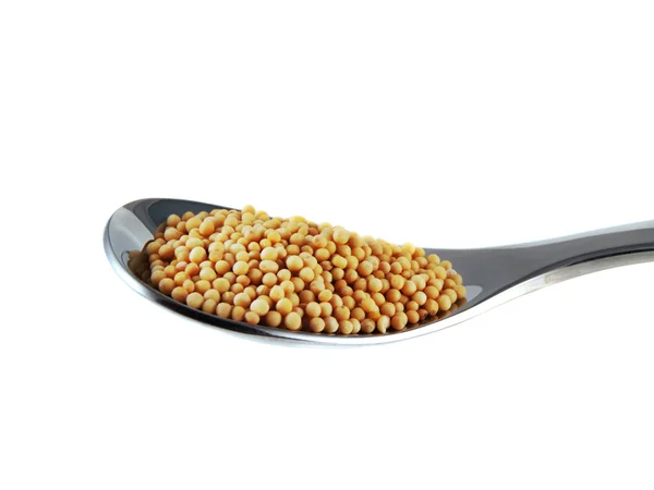 Mustard seeds on the spoon isolated on white — Stock Photo, Image