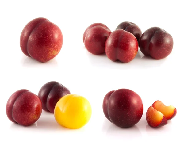 Plums collection isolated on white background — Stock Photo, Image