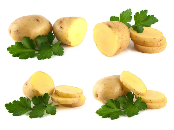 Nieuwe aardappel collectie met peterselie geïsoleerd — Stockfoto