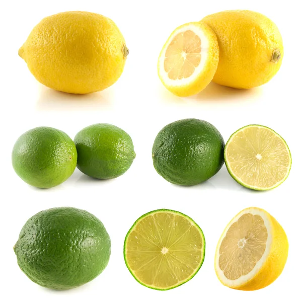 Zitrone, Limetten-Kollektion isoliert auf Weiß — Stockfoto
