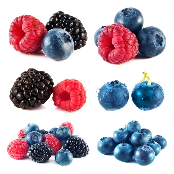 Blueberry, raspberry, blackberry set isolated — Stock Photo, Image