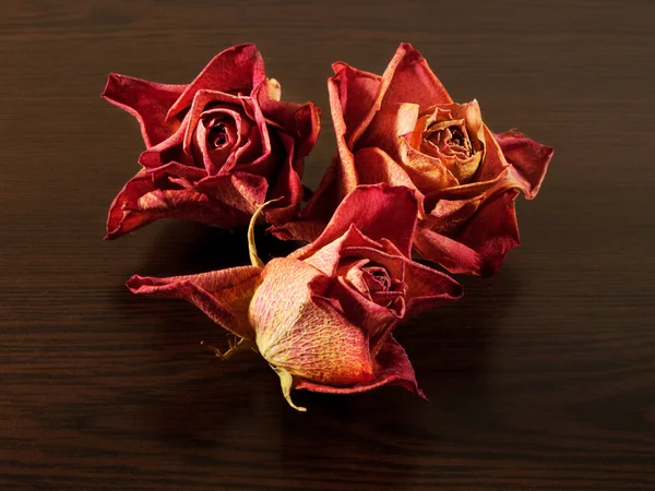 Dried roses on the table of dark wood — Stock Photo, Image