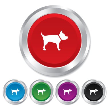 köpek işareti simgesi. Evcil hayvan sembolü.