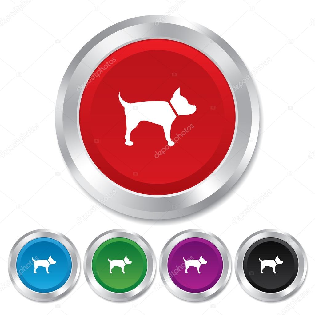 Dog sign icon. Pets symbol.