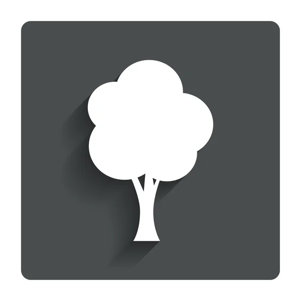 Träd sign ikon. skogen symbol. — Stock vektor