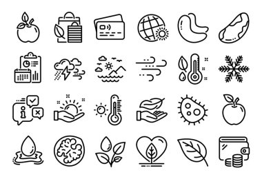 Kötü hava, deniz dağları ve hafif çizgi simgelerinin vektör seti ayarlandı. Takvim raporu, para cüzdanı ve kredi kartı etiketi. Ceviz, Yaprak ve Ceviz ikonu. Vektör