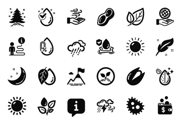 Vector Conjunto Iconos Naturaleza Relacionados Con Tiempo Lluvioso Pluma Maní — Vector de stock