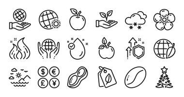 Ateş enerjisi, E vitamini ve Fıstık hattı simgeleri hazır. Koruma kalkanı ve para değişimi. Yardım eli uzatıyorum, organik testler ve kahve çekirdeği ikonları. Biyolojik etiketler, güvenli gezegen ve Dünya hava işaretleri. Vektör