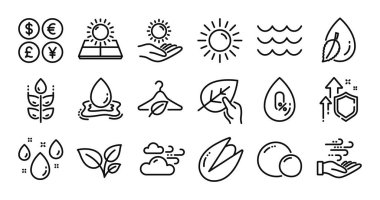 Fıstık ezmesi, güneş enerjisi ve yaprak çizgisi simgeleri hazır. Koruma kalkanı ve para değişimi. Yağmurlu hava, güneş koruması ve su ikonları. Vektör