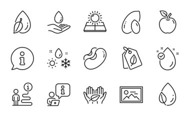 Doğa simgeleri ayarlandı. Adil ticaret, biyografi etiketleri, e vitamini tabelaları gibi ikonları da içeriyor. Güneş enerjisi, su damlası, hava durumu sembolleri. Elma, fıstık, fotoğraf. Su bakımı, Beans, Yaprak çiğ çizgisi simgeleri. Vektör