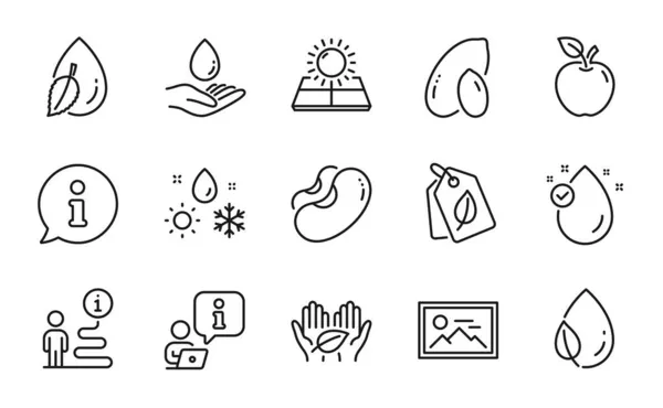 Природные Иконы Числе Значок Честная Торговля Бирки Знаки Витамин Солнечная — стоковый вектор