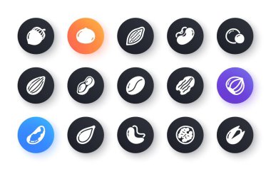 Ceviz ve tohum ikonları. Fındık, badem fıstığı ve fıstık. Ceviz, Brezilya fıstığı, fıstık ikonu. Kakao ve kaju fıstığı. Klasik bir set. Web düğmelerini çember yapın. Vektör