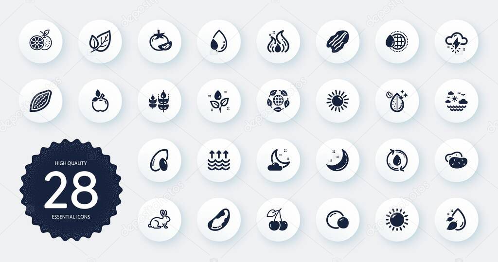Set of Nature icons, such as Travel sea, Eco food and Night weather flat icons. Animal tested, Refill water, Water drop web elements. Orange, Leaf dew, Tomato signs. Peas, Sunny weather. Vector