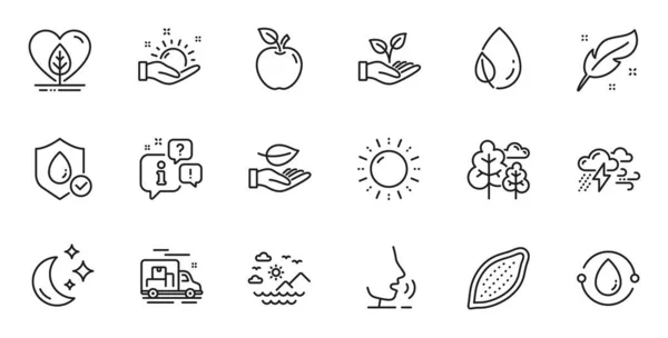 Outline Set Helping Hand Cocoa Nut Leaf Line Icons Web — стоковый вектор