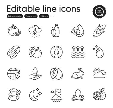 Set of Nature outline icons. Contains icons as Water care, Mineral oil and Water drop elements. Environment day, Orange, Tomato web signs. Pillow, Apple, Corn elements. Sunny weather. Vector