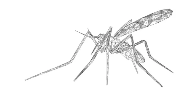 Mosquito Krvežíznivý Hmyz Polygonální Návrh Propojených Vedení Bodů — Stockový vektor