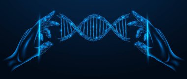Sanal gerçeklikteki DNA hücrelerinin incelenmesi. Birbirine bağlı çizgi ve noktaların çokgen tasarımı. Mavi arkaplan.