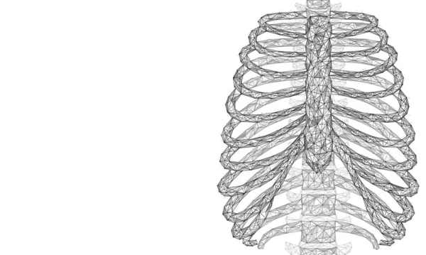 人間の骨格の肋骨だ 胸の骨だ 相互接続線と点の多角形のデザイン — ストックベクタ