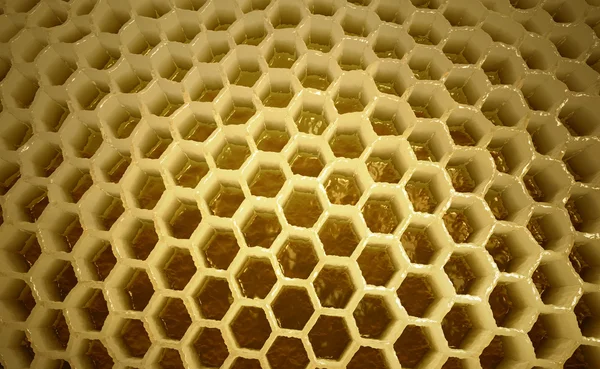 Inside of apiary — Stock Photo, Image