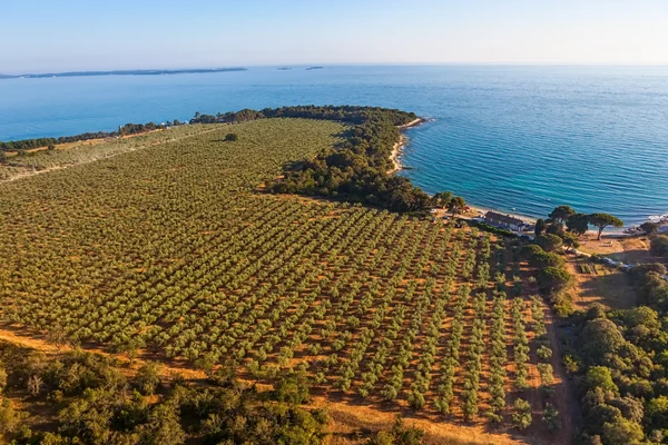 Mediterrane Landschaft — Stockfoto